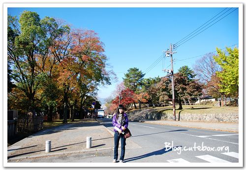 奈良, 猿澤池、興福寺