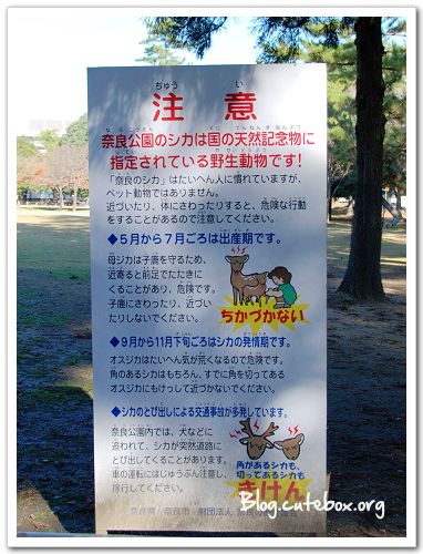 奈良, 奈良公園