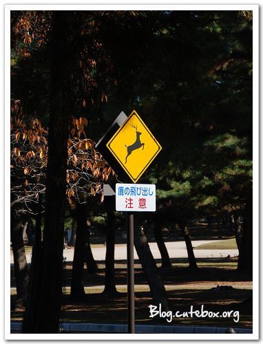 奈良, 奈良公園