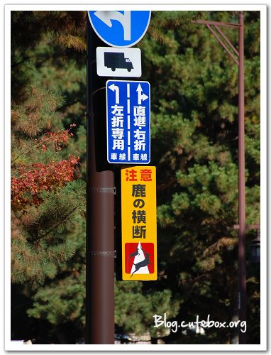 奈良, 奈良公園