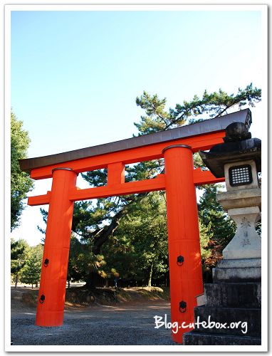 奈良, 奈良公園