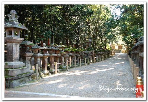 奈良, 春日大社