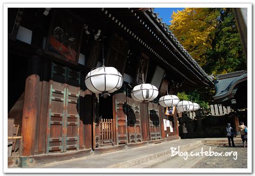 奈良, 東大寺