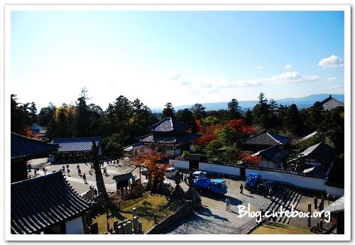 奈良, 東大寺