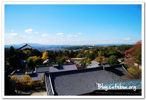 奈良, 東大寺