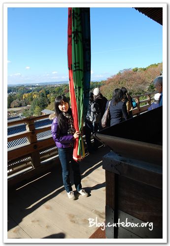 奈良, 東大寺