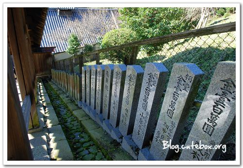 奈良, 東大寺