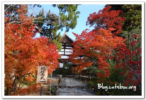 京都, 天龍寺