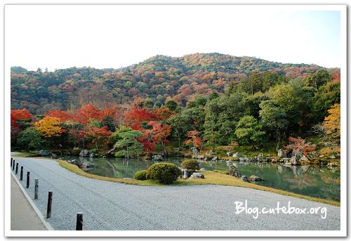 京都, 天龍寺