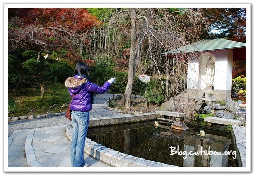 京都, 天龍寺