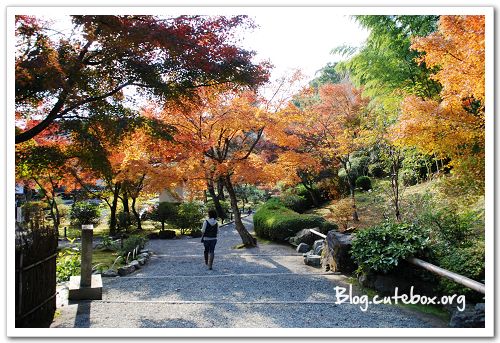 京都, 天龍寺