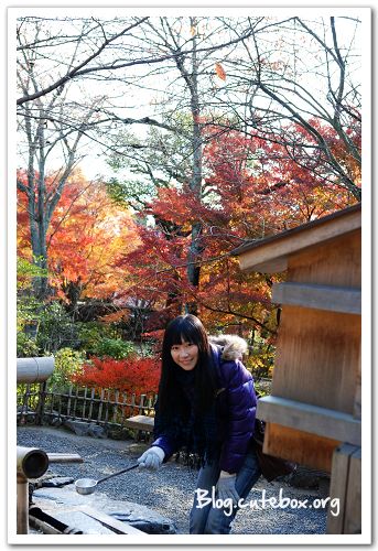 京都, 天龍寺