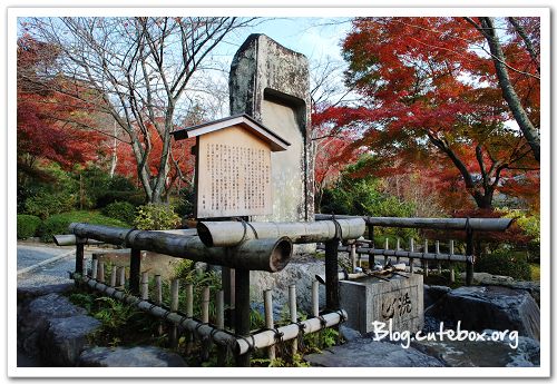 京都, 天龍寺