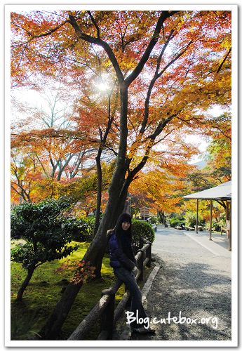 京都, 天龍寺