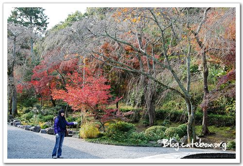 京都, 天龍寺