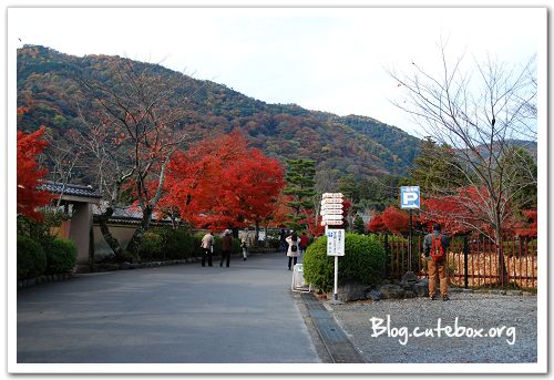 京都, 天龍寺