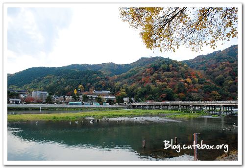 京都, 渡月橋