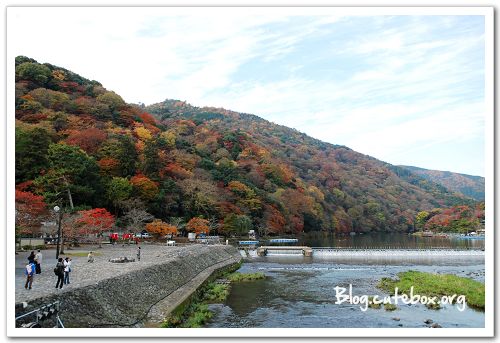 京都, 渡月橋