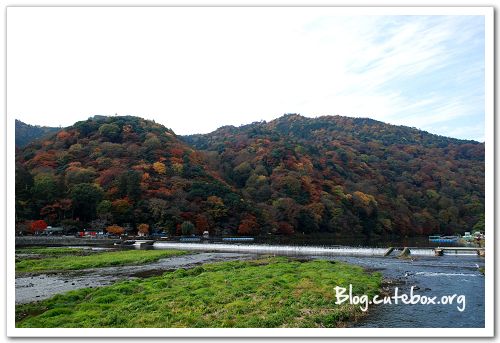 京都, 渡月橋