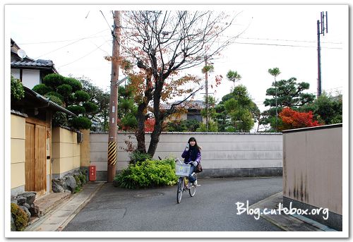 京都, 渡月橋