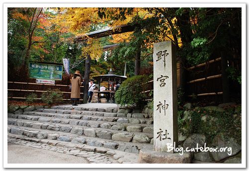 京都, 竹林之道、野宮神社