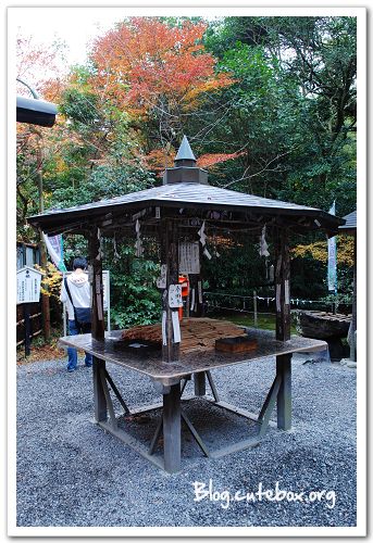 京都, 竹林之道、野宮神社