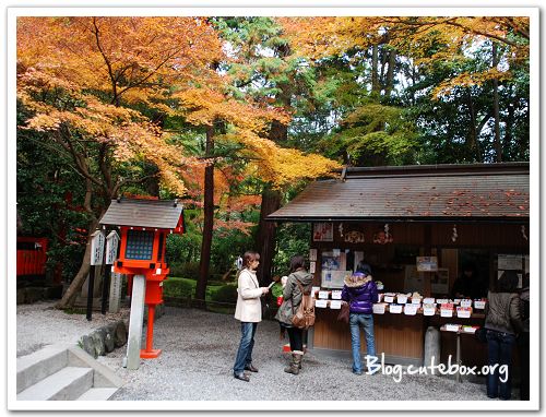 京都, 竹林之道、野宮神社