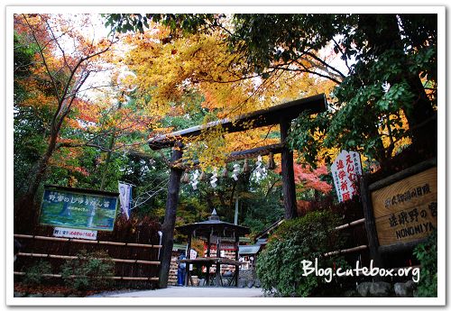 京都, 竹林之道、野宮神社