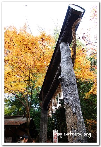 京都, 竹林之道、野宮神社