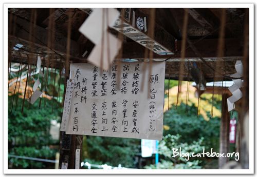 京都, 竹林之道、野宮神社