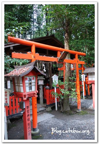 京都, 竹林之道、野宮神社