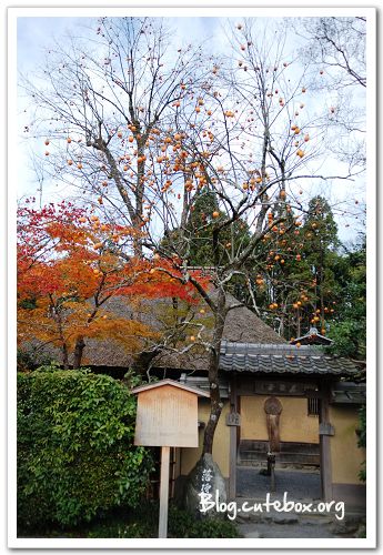 京都, 常寂光寺、落柿舍、二尊院