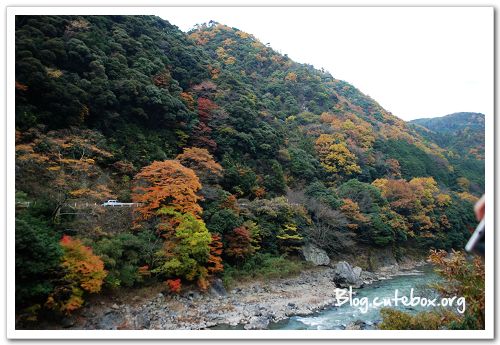 京都, 嵯峨野觀光小火車