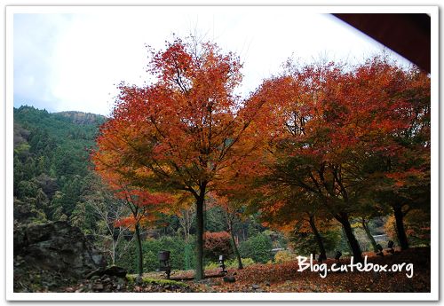 京都, 嵯峨野觀光小火車