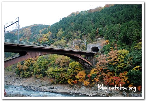 京都, 嵯峨野觀光小火車