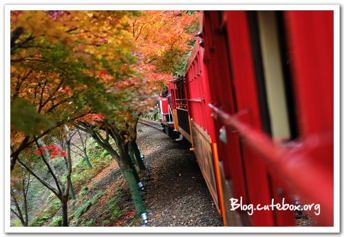 京都, 嵯峨野觀光小火車