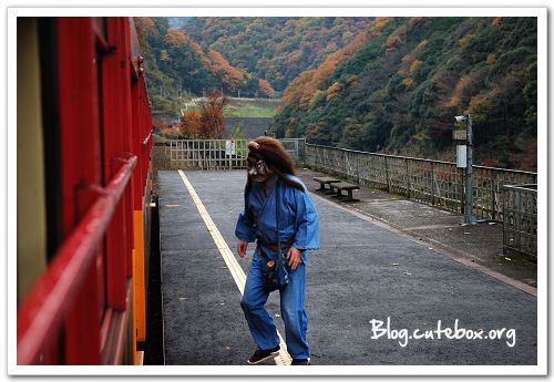 京都, 嵯峨野觀光小火車