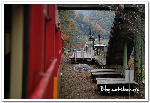 京都, 嵯峨野觀光小火車