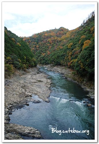 京都, 嵯峨野觀光小火車