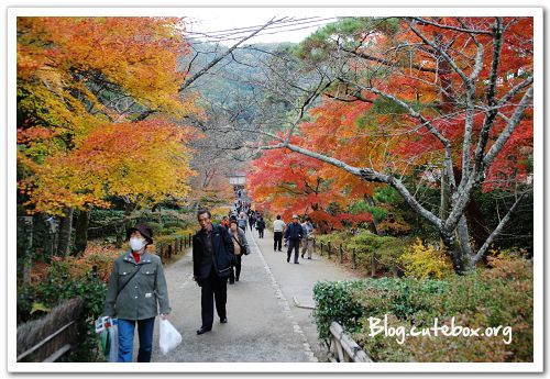 京都, 常寂光寺、落柿舍、二尊院