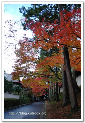 京都, 東福寺