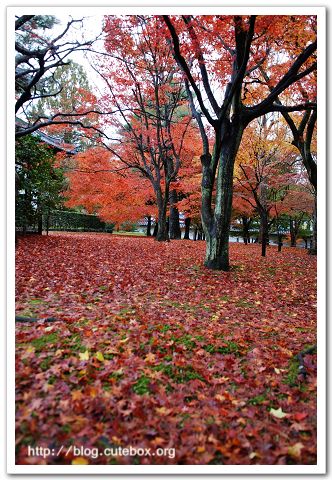 京都, 東福寺