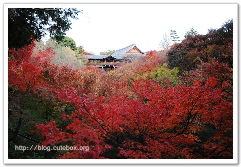 京都, 東福寺