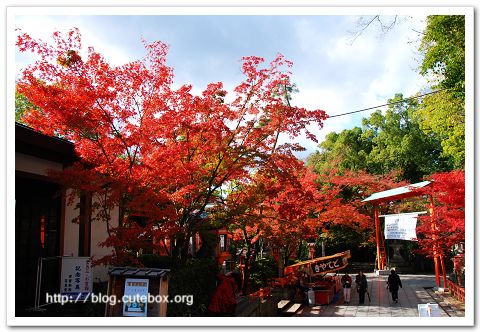 京都,八坂神社