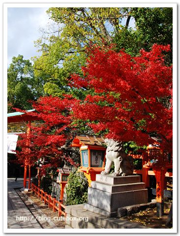 京都,八坂神社