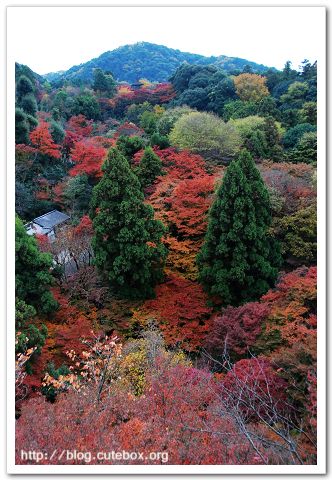 京都,清水寺