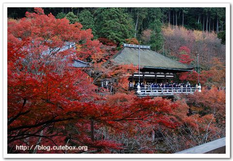 京都,清水寺