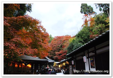 京都,清水寺