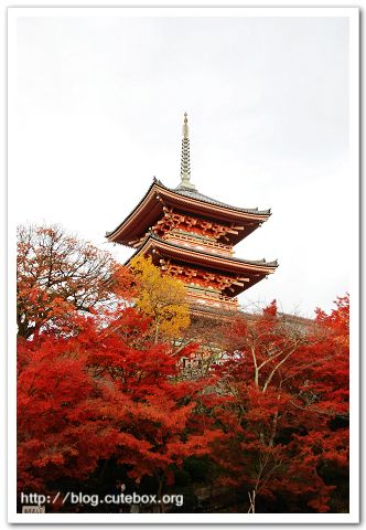 京都,清水寺