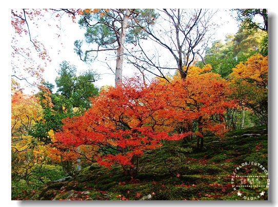 京都,銀閣寺